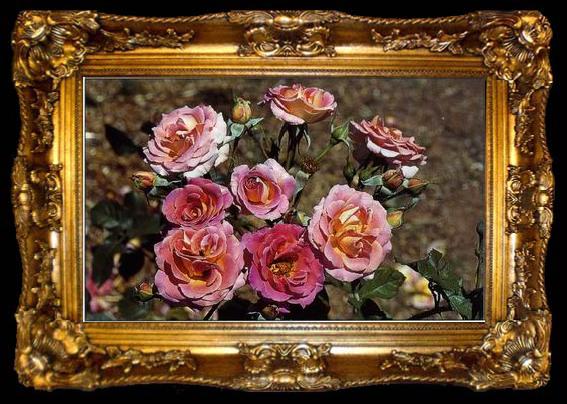 framed  unknow artist Still life floral, all kinds of reality flowers oil painting  225, ta009-2